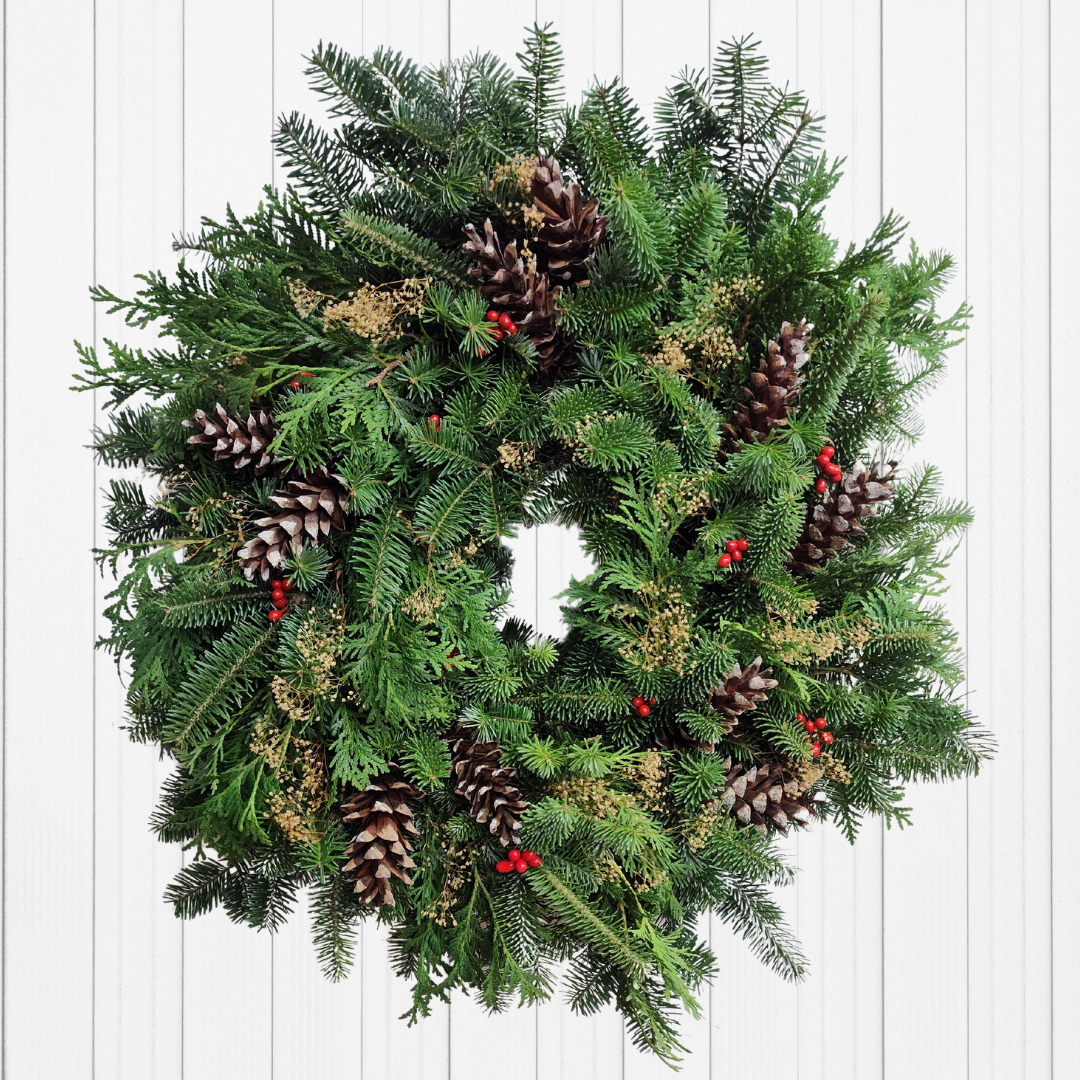 Balsam 6