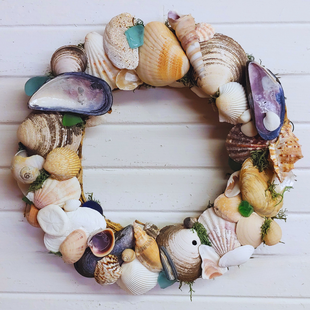 Seashell Wreath – Maine Wreath and Flower