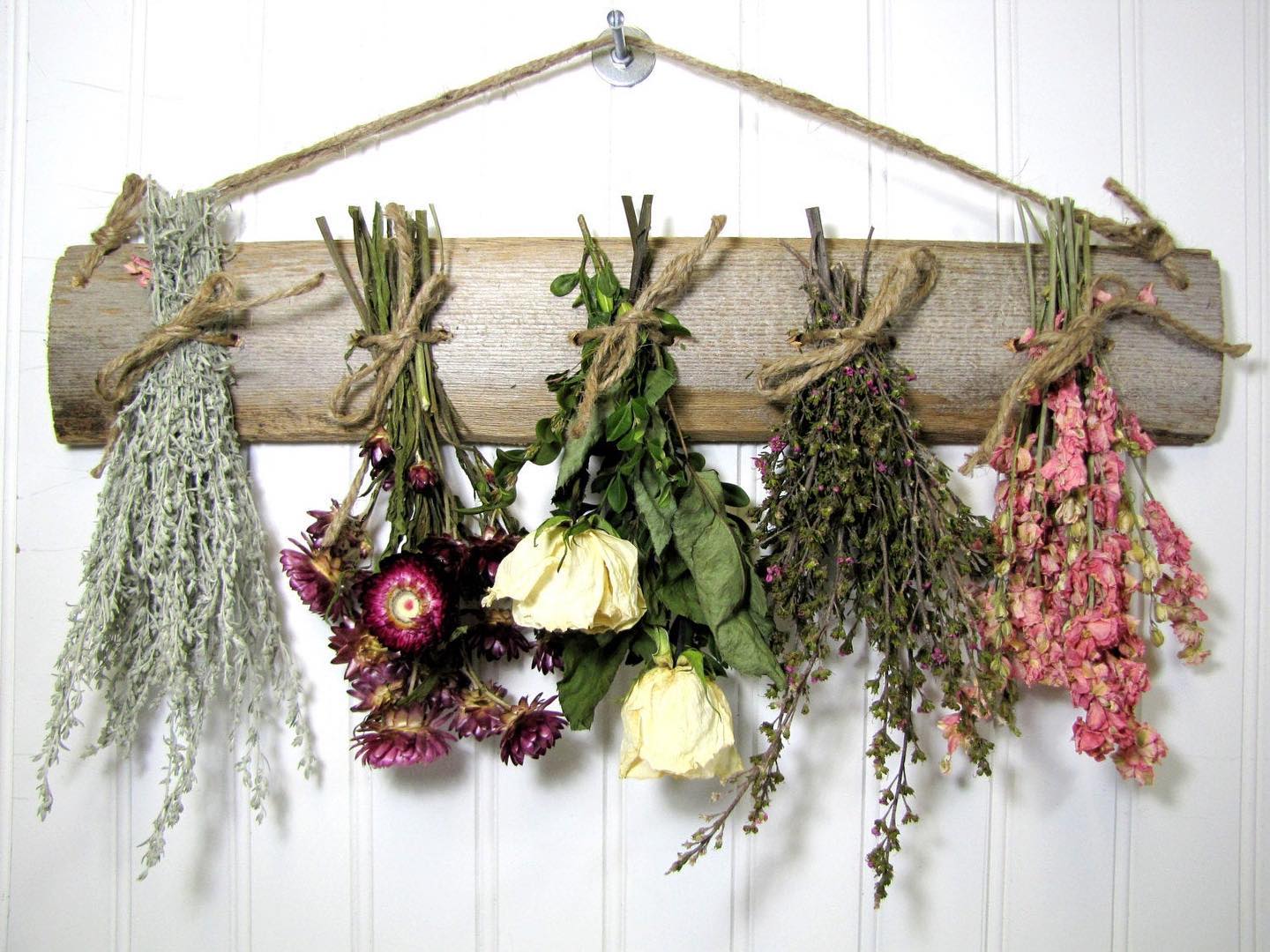 Dried Flowers Back In Stock!